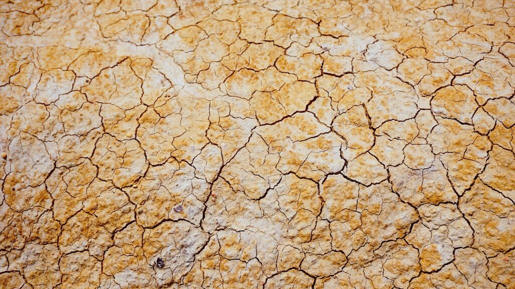Water Cycle Repair For Drought Relief ~ The Hidden Heroes…