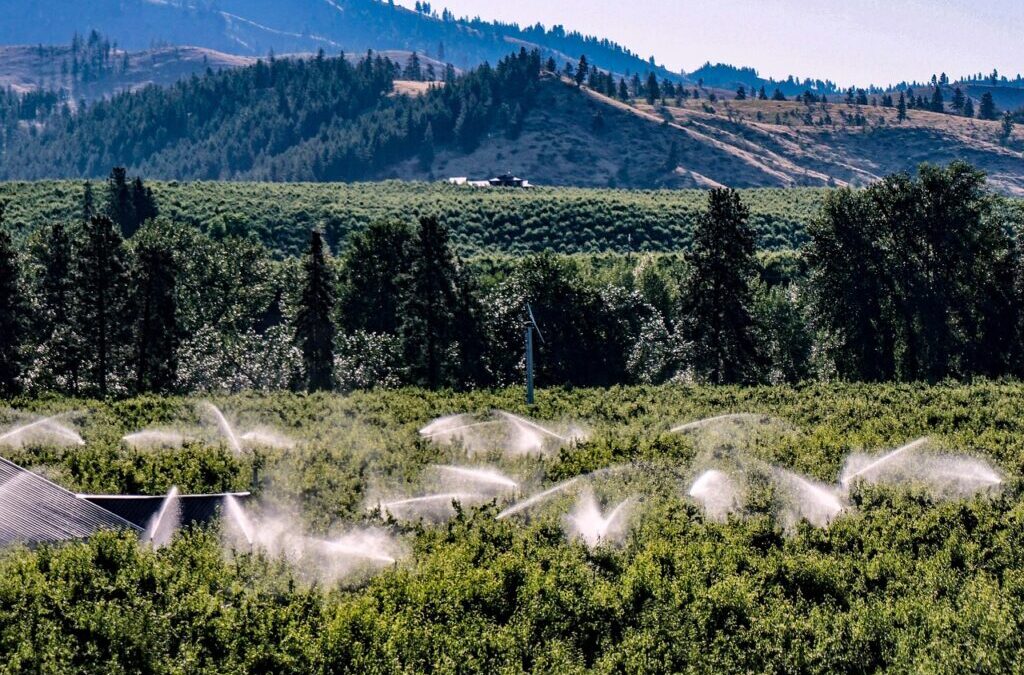 Water-efficient Irrigation Techniques » The Great Basin: Where Water Is…