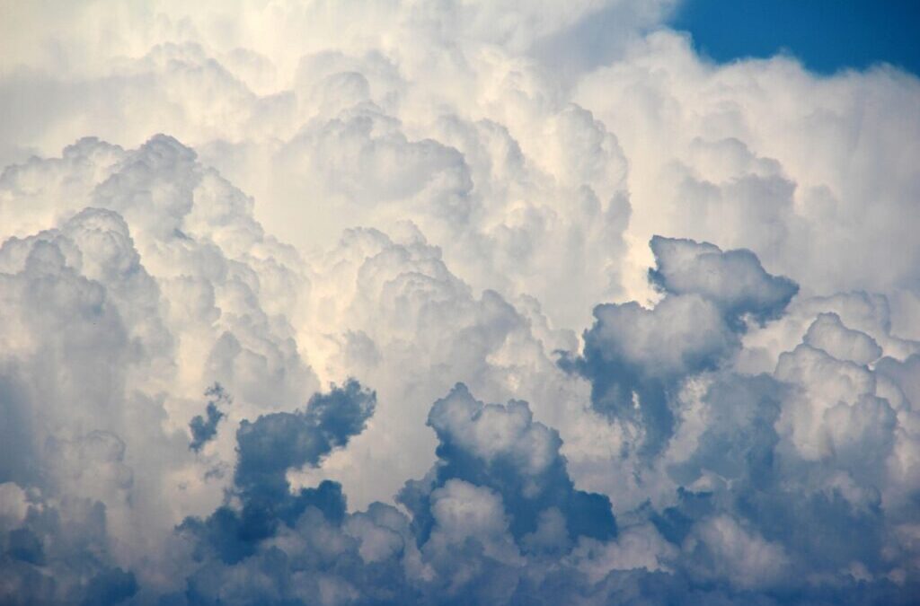 Weather » Nature’s Water Cycle: How Plants, Soils, And Water…