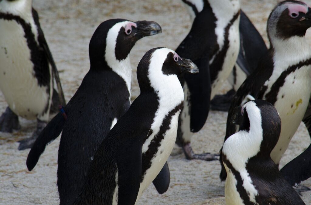 Working Group ~ Let’s Get Together: Understanding Working Groups TL;DR…