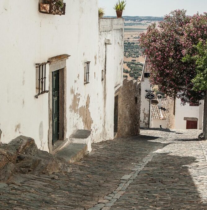 Taste Of Portugal Seasoning – A Taste Of Portugal: Discover…