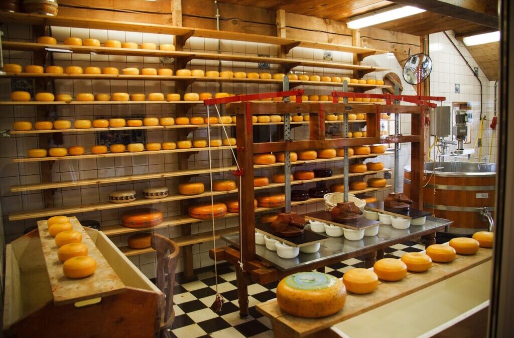 Umami Cheese: Umami Cheese In Tennessee: It’s A Thing, Y’all!…