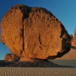 AbbotAbbess_and_Desert-shrublands-1024×680-1
