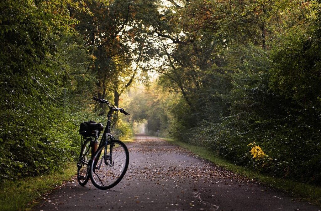 Alternative Lifestyle » Living Life Your Way: Exploring Alternative Lifestyles…