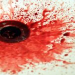 Bacteriophobia-Fear-of-bacteria_and_Food-security-in-the-Great-Basin-1024×511-1