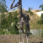 Bones_and_Effective-irrigation-methods-683×1024-1