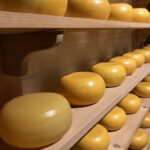 Cheese_and_12.-Water-policy-780×1024-1