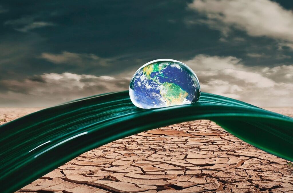Climate Rescue And Conservation ~ Saving Our Planet: The Colorado…