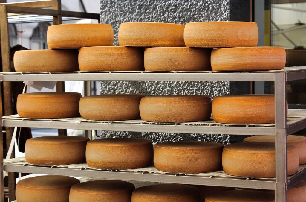 Dairy | Milk, Cheese, And Yogurt: A Dairy Delights Adventure…