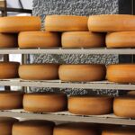 Dairy_and_13.-Water-conservation-tips-1024×682-1