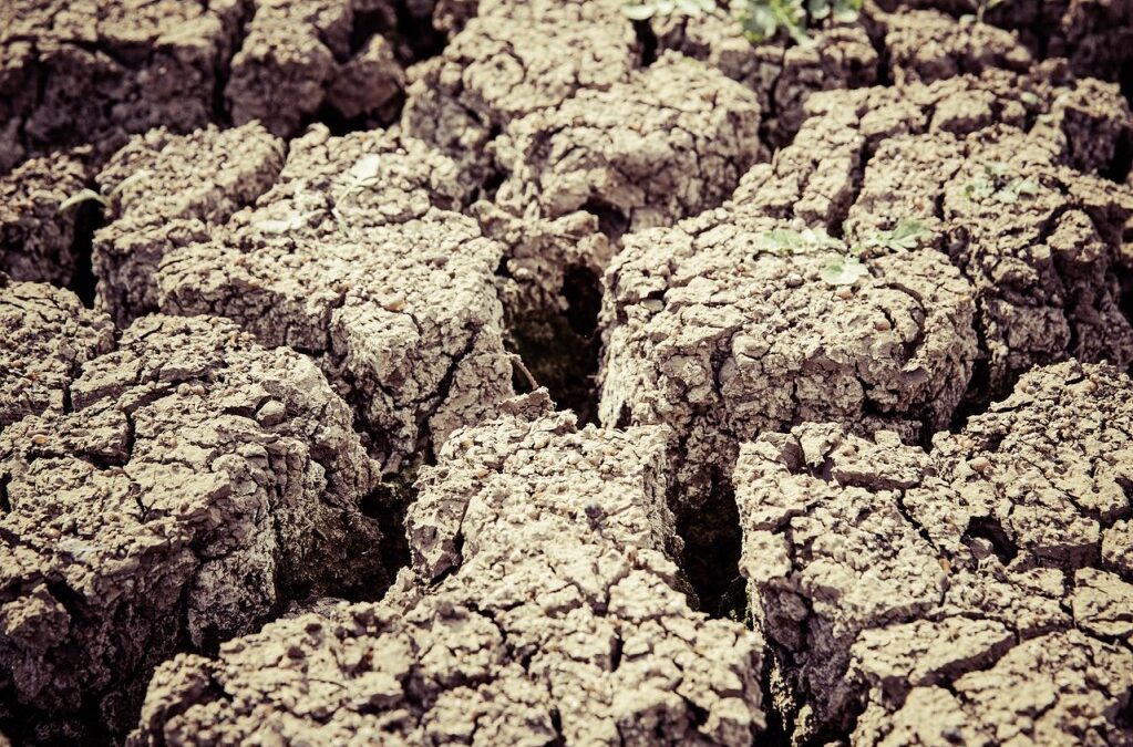 Drought Relief Initiatives / Saving Our Southwest: How Engineering Solutions…