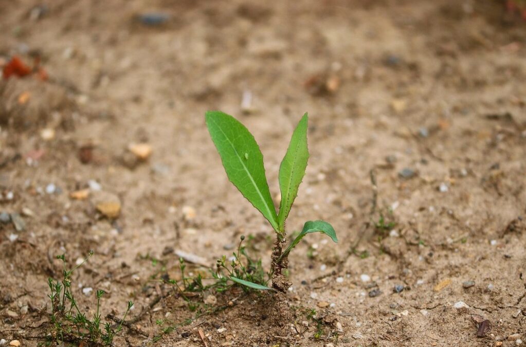 Drought Solutions ~ Drought Solutions: Can We Pipe Our Way…