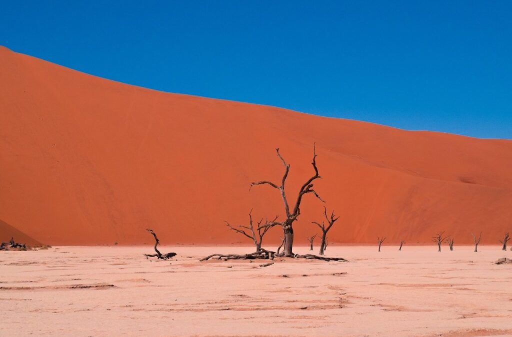 Drought Solutions | Thirsty? The National Water Network Has A…