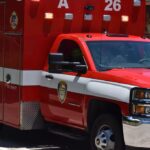 EMT_and_companion-animal-welfare-1024×682-1