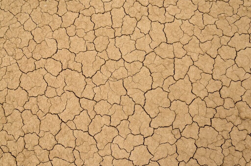 Earth / Our Amazing Planet: Earth! TL;DR – Earth Is…