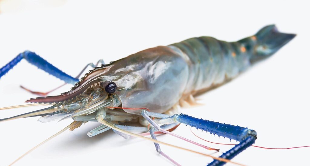 Economic Consequences For Industries Like Recreation, Mining, And Brine Shrimp…