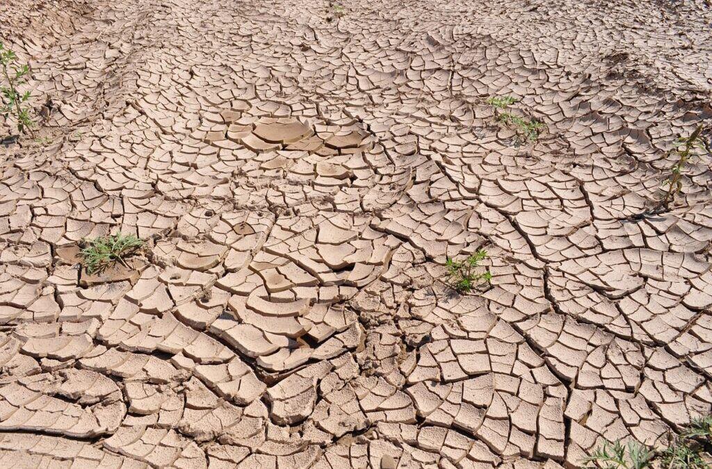 Efficient Ways To Stop Lake Drought | Saving Our Lakes:…