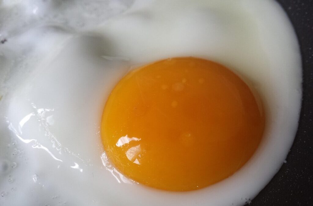 Eggs | Cracking The Code: All About Eggs! TL;DR: Eggs…