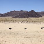 Ethical-Hacking-and-Penetration-Testing-Understand-the-role-of-ethical-hackers-in-securing-systems._and_Drought-adaptation-in-the-Great-Basin-1024×673-1