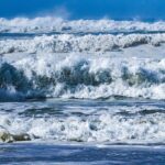 Gerascophobia_and_Salton-Sea-Fauna-1024×682-1