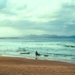 Gerascophobia_and_Willard-Bay-1024×682-1