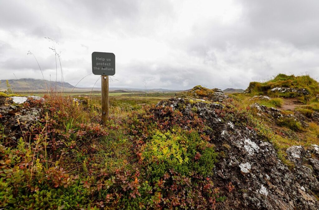 “Great Basin Water Conservation Methods”: The Great Basin: A Thirsty…