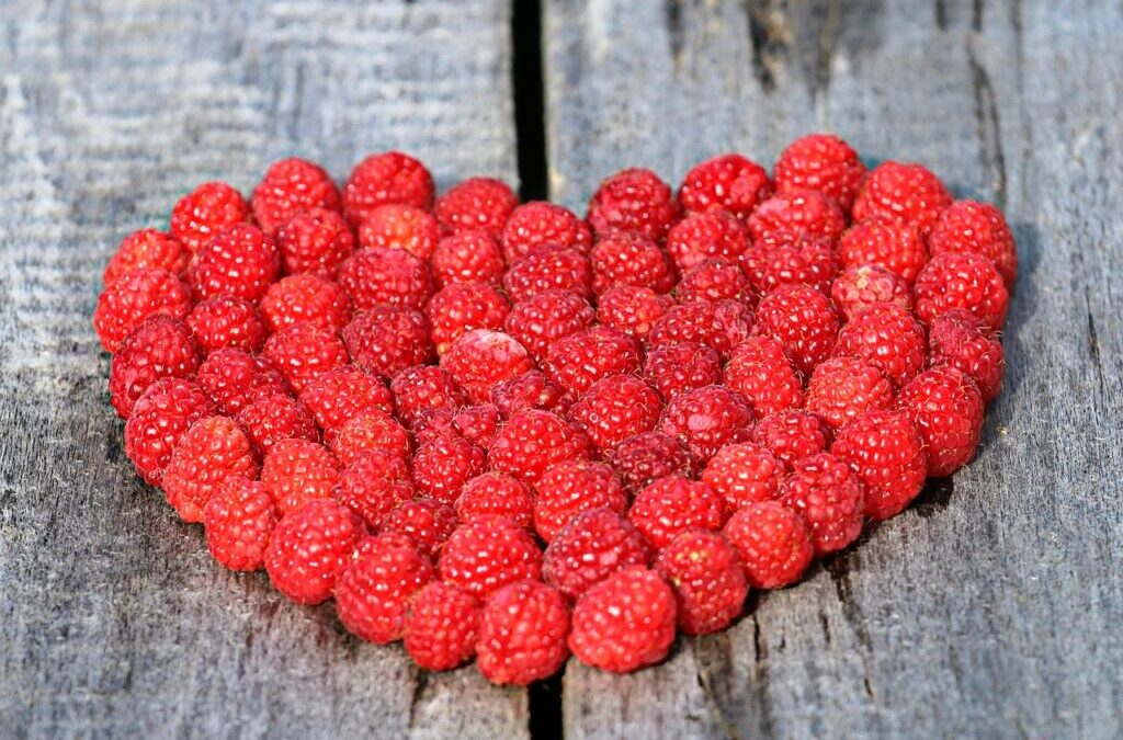 Heart » Please Provide Me With The Content You Want…