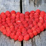 Heart_and_Water-regulations-and-standards-1024×725-1