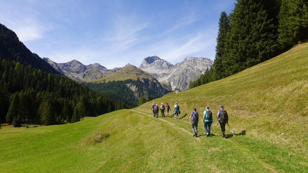 Hiking ~ Hit The Trail And Breathe In The Fresh…