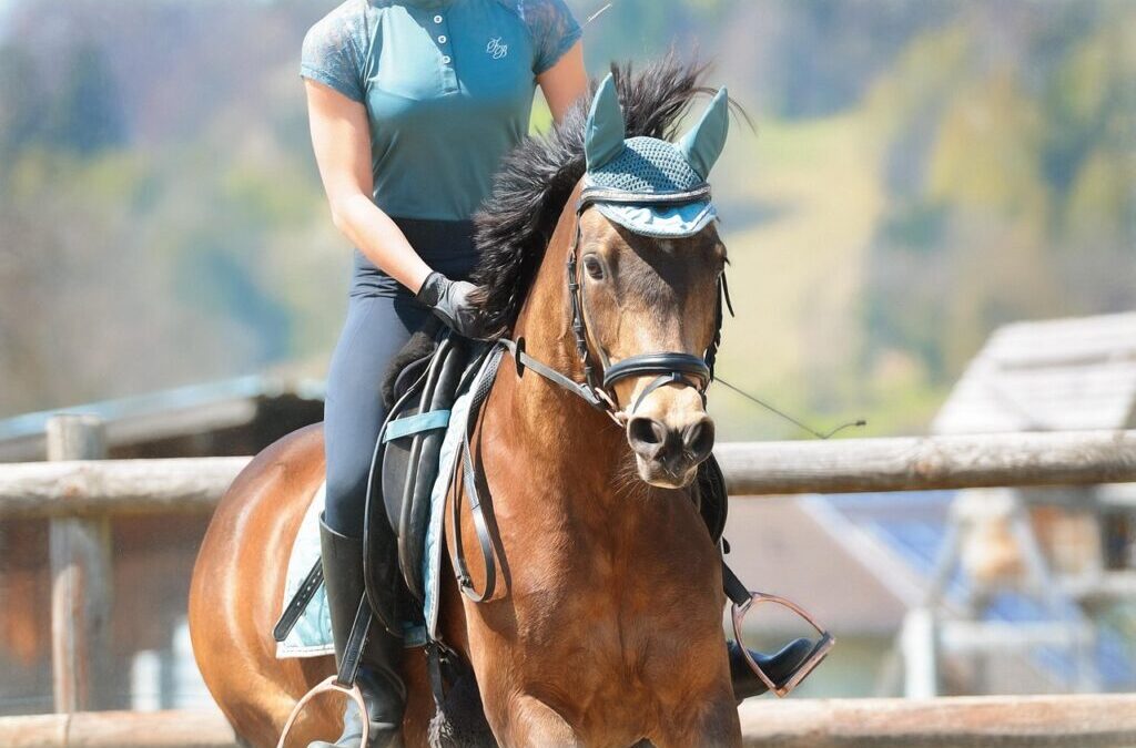 Horseback Riding | Saddle Up And Ride! A Fun Guide…