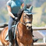 Horseback-riding_and_Luau-spices-1024×682-1