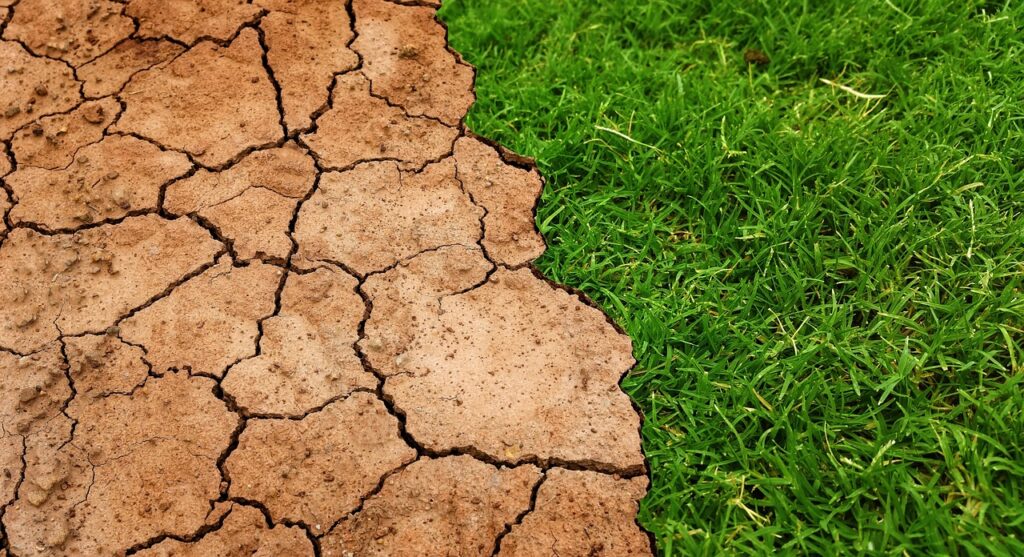 Impact Of Climate Change On The Great Basin Region »…