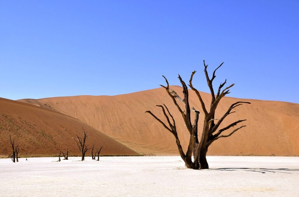 Impact Of Drought On Laguna Salada Hydrology » Drought’s Devastating…