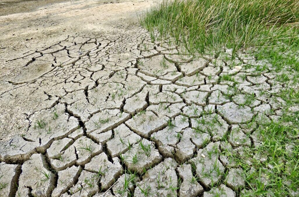 Impact Of Drought On Laguna Salada Hydrology ~ Laguna Salada:…
