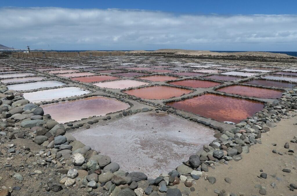 Impact Of Water Diversion On The Great Salt Lake |…