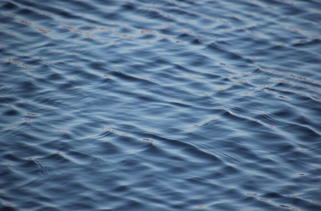 Innovative Water Projects: Highlight Pioneering Water Projects And Initiatives Both…