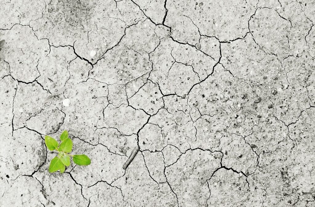 Innovative Climate Rescue Solutions | Saving Our Planet: Cool Tech…