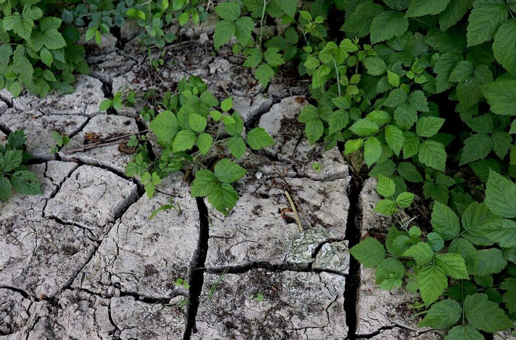 Lake Drought Prevention Methods – Saving Our Lakes: How We…