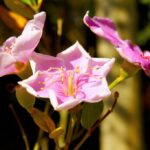 Landscaping_and_Umami-rich-seasonings-1024×682-1