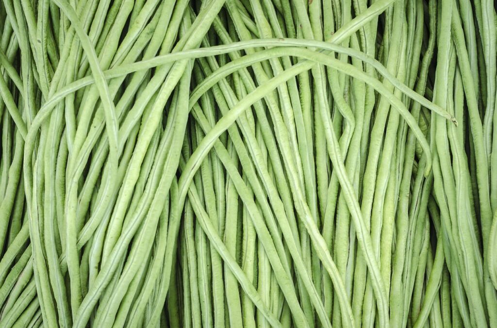 Legumes ~ Legumes: The Powerhouses Of The Plant World Legumes:…