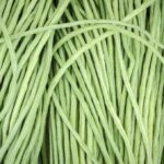 Legumes_and_Great-Basin-Water-conservation-practices-1024×678-1