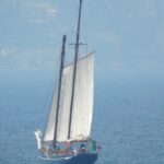 Lymph-vessels_and_Water-saving-ideas-768×1024-1