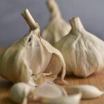 Monsignor_and_Garlic-Honduran-682×1024-1