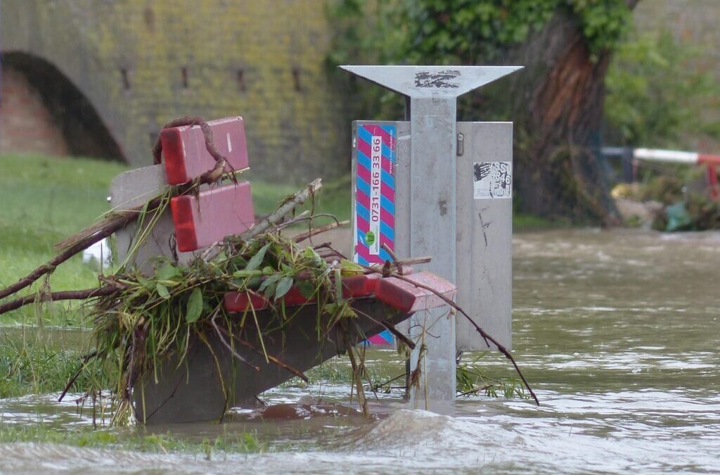 Natural Disasters: Earth’s Powerful Forces: Natural Disasters TL;DR – Too…