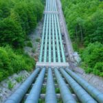 Ornithophobia-Fear-of-birds_and_Water-Utility-Management-768×1024-1