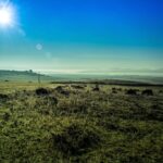 Plains_and_Great-Salt-Lake-elevation-1024×682-1