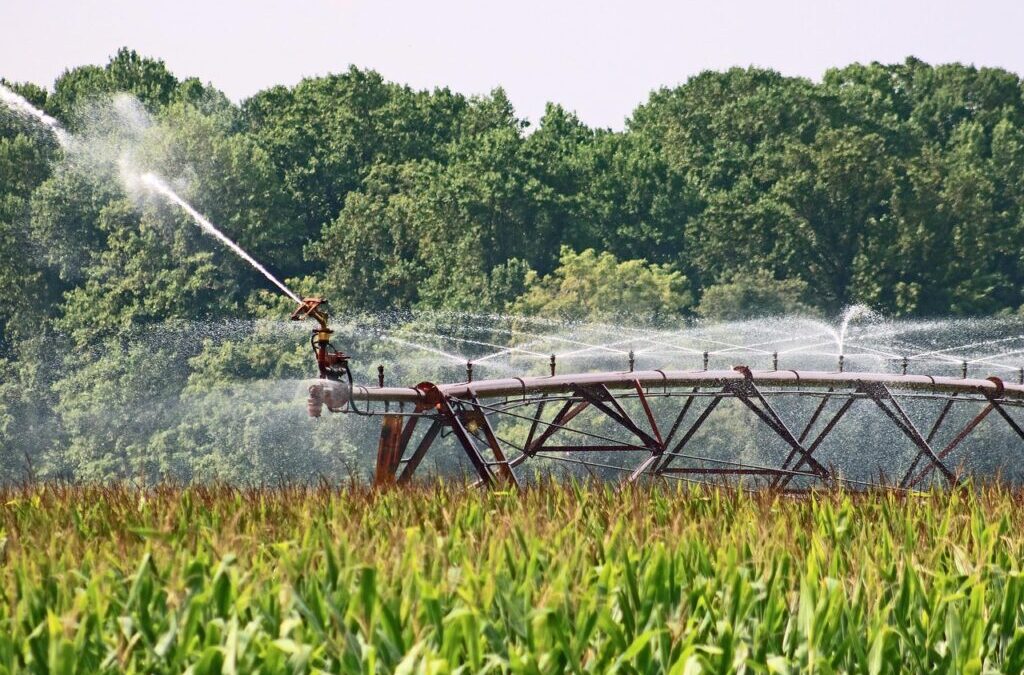 Precision Irrigation Techniques And Sustainable Watershed Management » The Great…