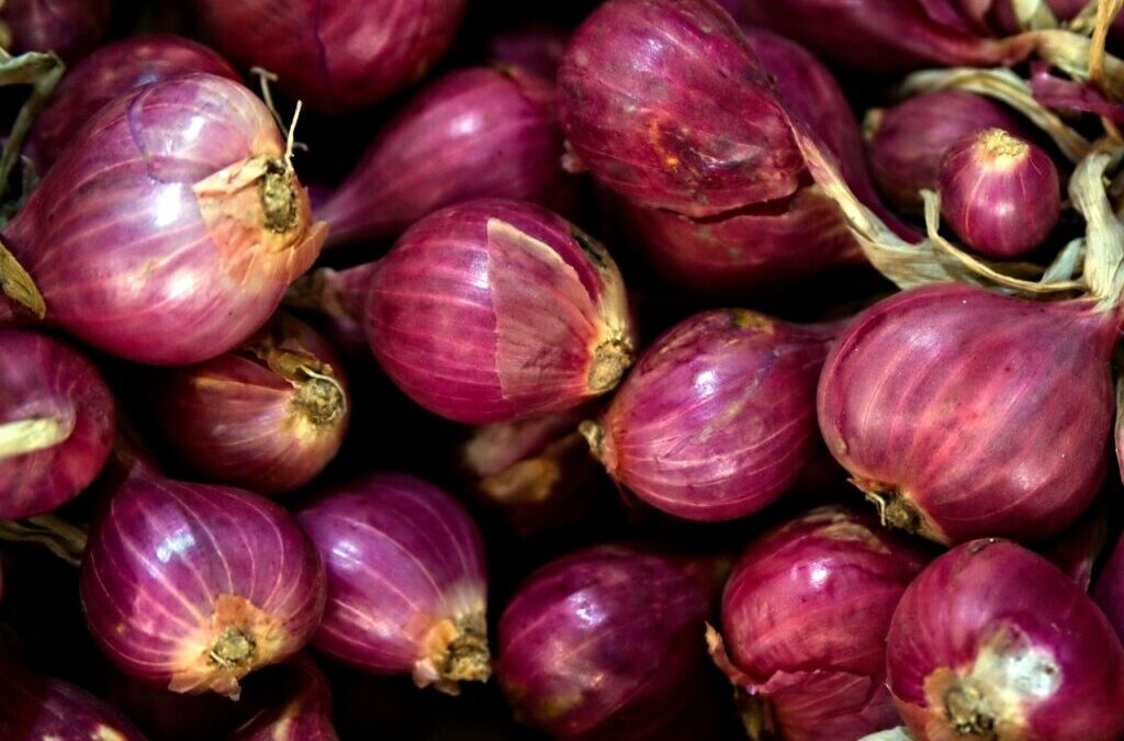 Regional And Ethnic Flavors | Get Ready To Savor The…