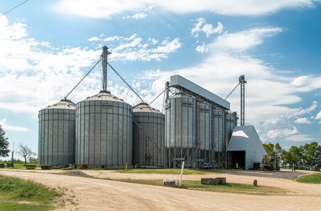 Silo: Ready To Build Your Own World? Let’s Talk About…
