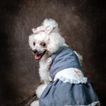 Standard-Poodle_and_Spicy-Kebabs-682×1024-1